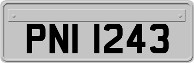 PNI1243