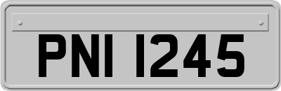 PNI1245