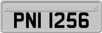 PNI1256