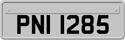 PNI1285