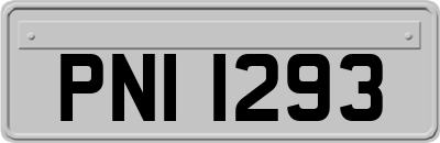PNI1293