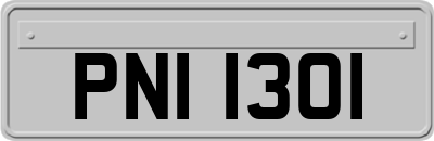 PNI1301