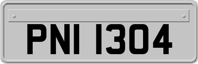 PNI1304