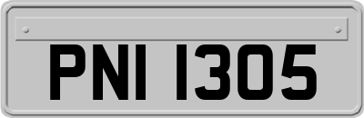 PNI1305