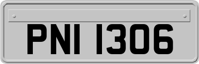 PNI1306