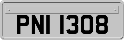 PNI1308
