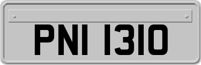 PNI1310