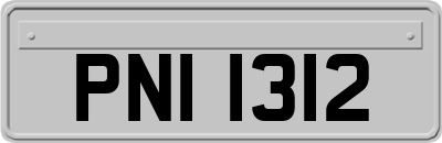 PNI1312