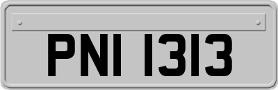 PNI1313