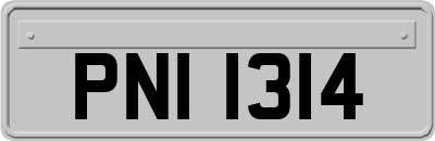 PNI1314