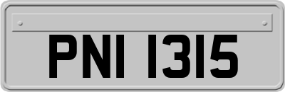 PNI1315