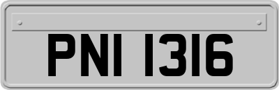 PNI1316