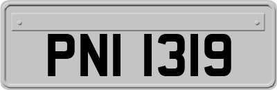 PNI1319
