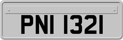 PNI1321