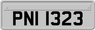 PNI1323