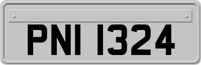 PNI1324