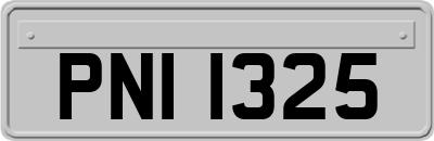 PNI1325