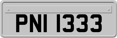 PNI1333