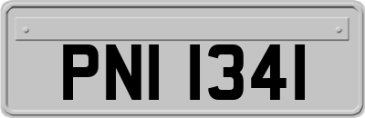 PNI1341