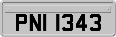PNI1343