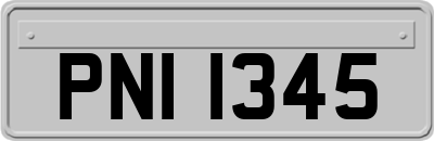PNI1345