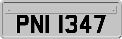 PNI1347