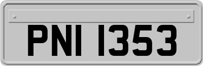 PNI1353