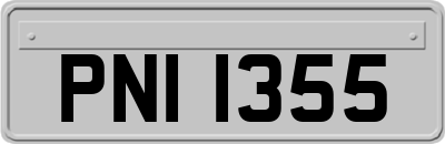 PNI1355