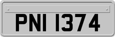 PNI1374