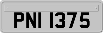 PNI1375