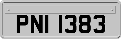 PNI1383
