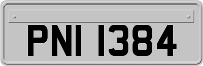 PNI1384