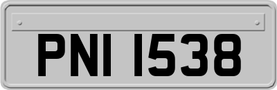 PNI1538