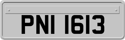 PNI1613