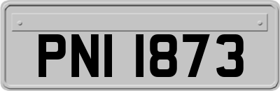 PNI1873