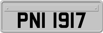 PNI1917