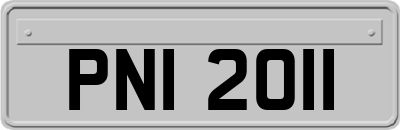 PNI2011