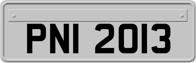 PNI2013