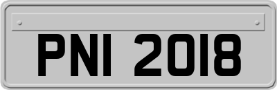 PNI2018