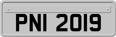 PNI2019