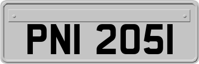 PNI2051