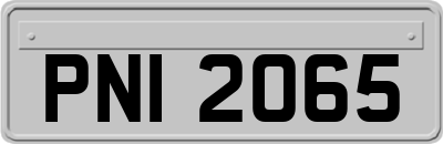PNI2065