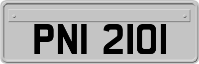 PNI2101