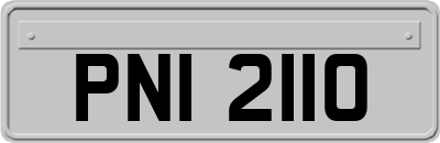 PNI2110