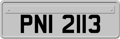PNI2113