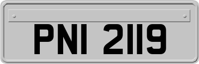PNI2119
