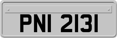 PNI2131
