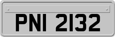 PNI2132