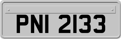 PNI2133