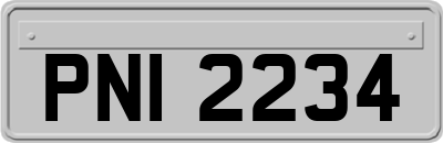 PNI2234